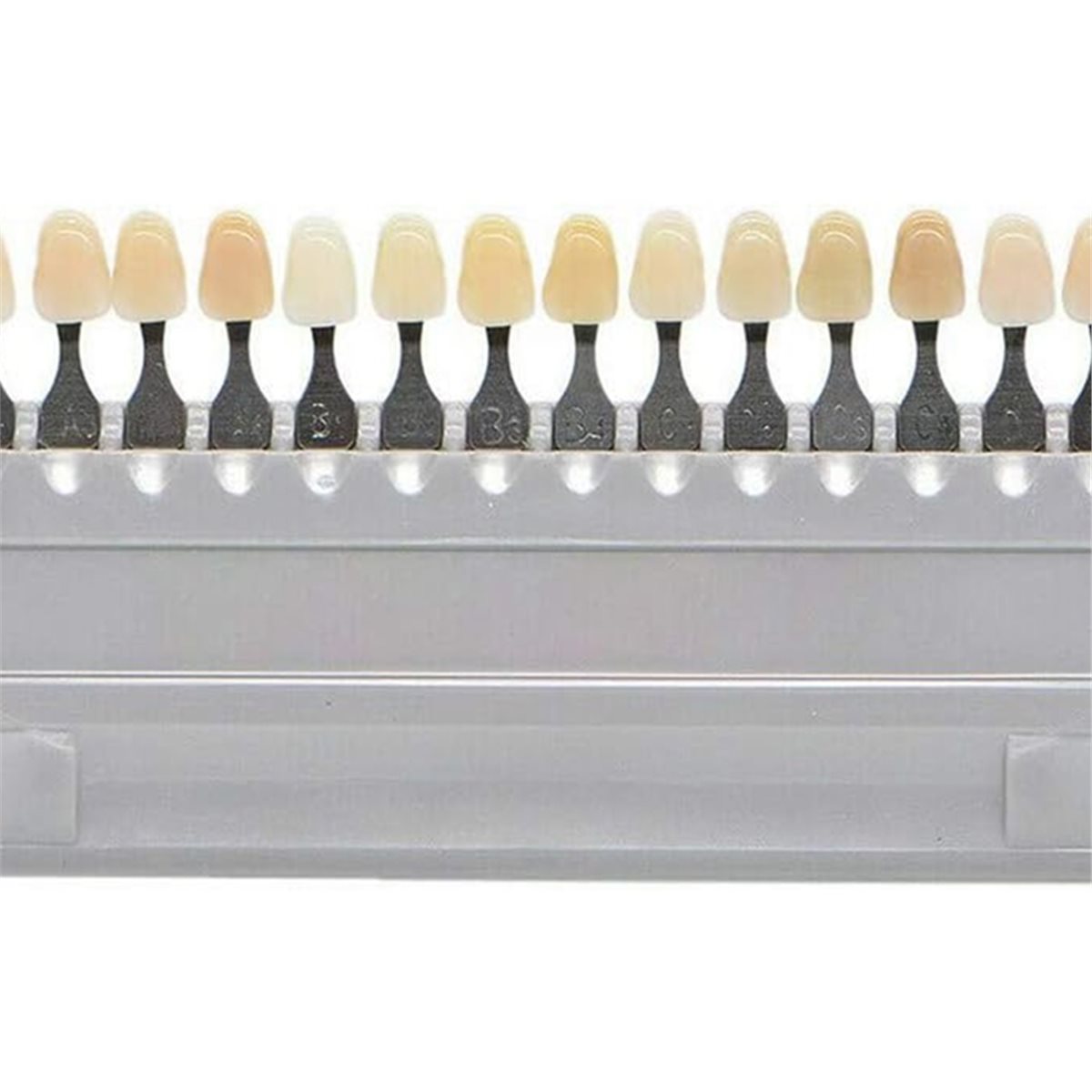 [N84R] Guida Colori 3D per Sbi - Teeth Whitening Shade Guide recensione e prezzo